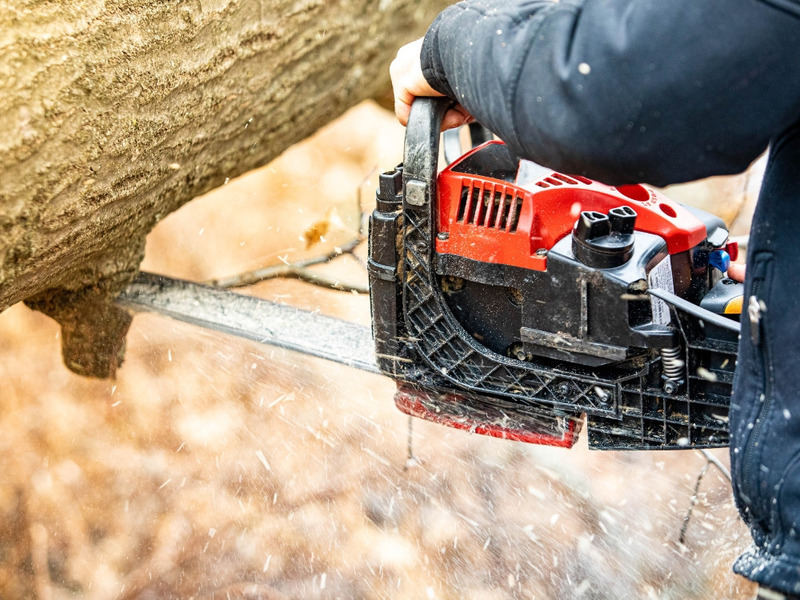 may-cua-bi-rung-manh-1