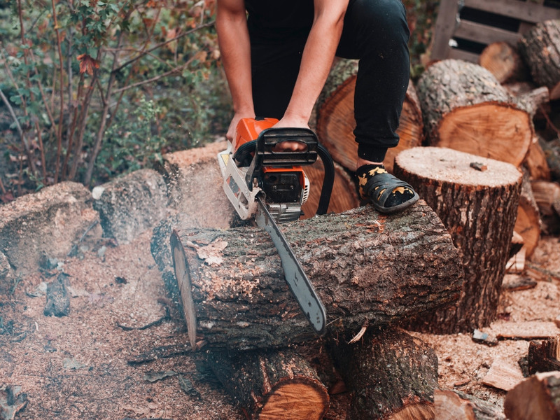 may-cua-bi-rung-manh-2